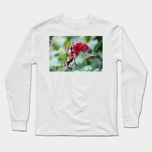 Swallowtail Butterfly Underside Long Sleeve T-Shirt